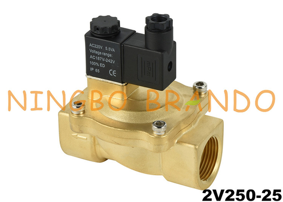 Fluid Control Brass Solenoid Valve 2V250-25 1'' 2/2 Way 24V 220V