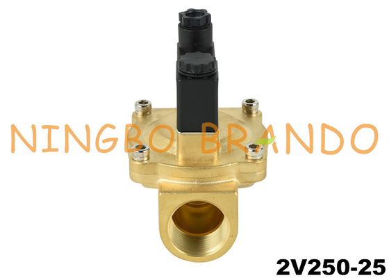 Fluid Control Brass Solenoid Valve 2V250-25 1'' 2/2 Way 24V 220V