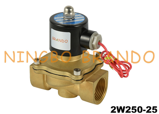 2/2 Way 2W250-25 Brass Solenoid Water Valve 24 Volt 110 Volt 220Volt