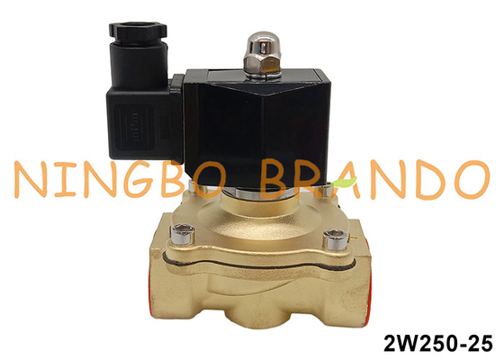 2W250-25 1'' 2 Way NC Brass Solenoid Valve 12V 24V 110V 220V