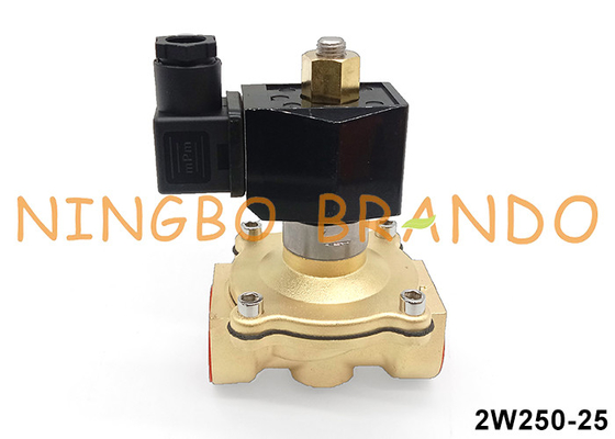 2W250-25-NO 1'' 2 Way Normally Open Solenoid Valve 24VDC 220VAC