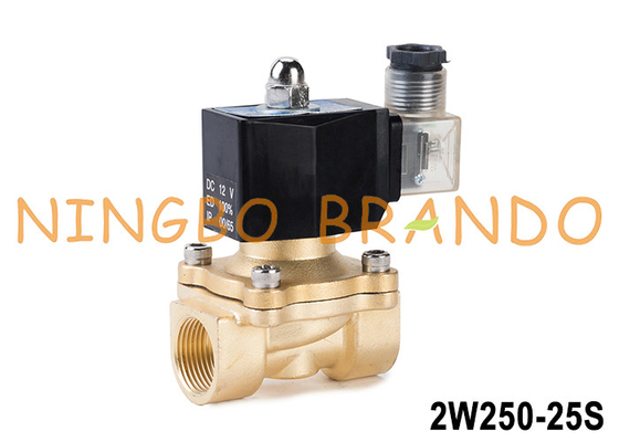 2W250-25 1'' 2 Way Normally Closed Brass Water Solenoid Valve 24V 220V