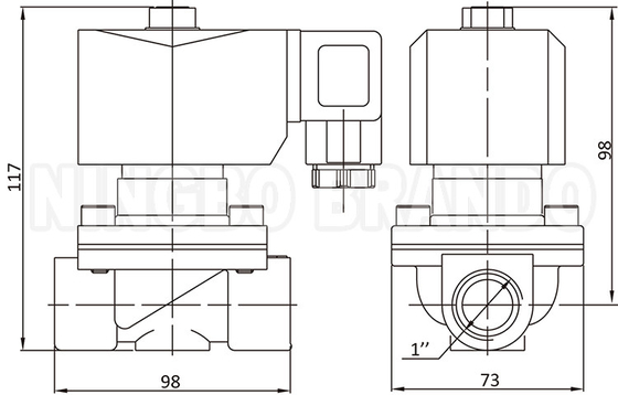 2W250-25 1'' 2 Way Normally Closed Brass Water Solenoid Valve 24V 220V