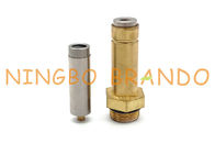LPG CNG Solenoid Valve Brass Thread Seat Armature Plunger Kits