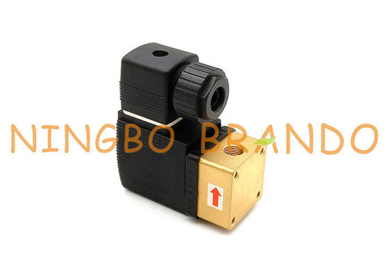 AC220V DC24V 1/4'' Inch 6013 NC Direct Acting Plunger Solenoid Valve