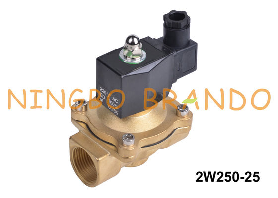 2W250-25 1'' 2 Way Normally Closed Water Brass Solenoid Valve 24V 220V