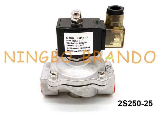 2S250-25 1 Inch Stainless Steel Electric Solenoid Valve 24VDC 220VAC