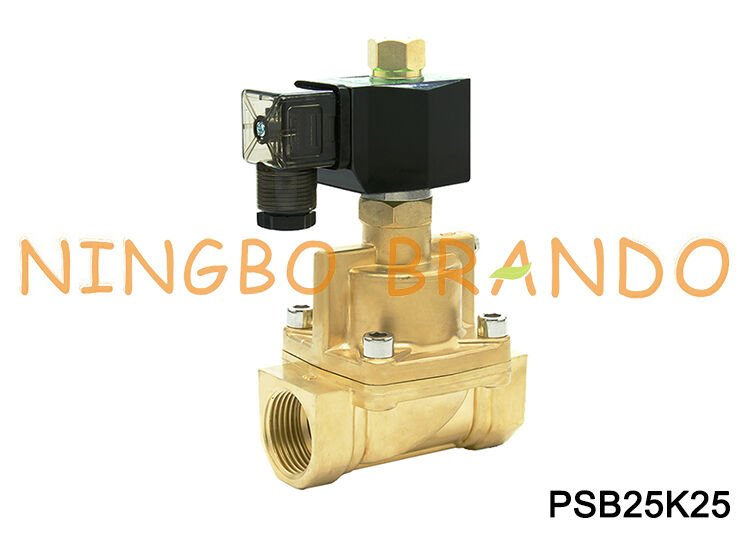 1'' Inch Normally Open Steam Solenoid Valve Brass Body PTFE Seal 24V 12V 220V 110V